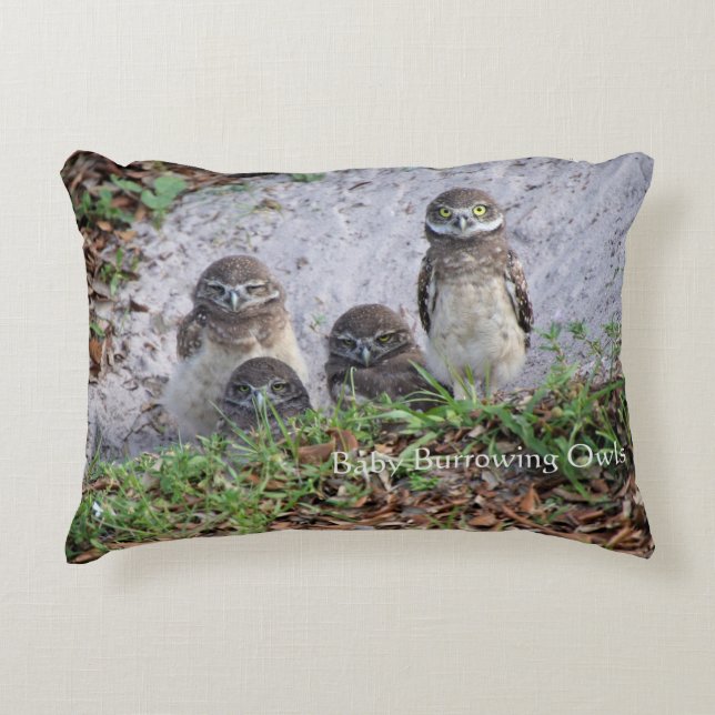 Pillow of Baby Burrowing Owls Dekokissen (Vorderseite)