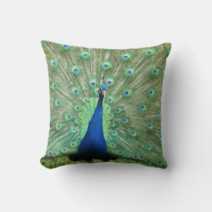 Pillow - Peacock auf Display Kissen