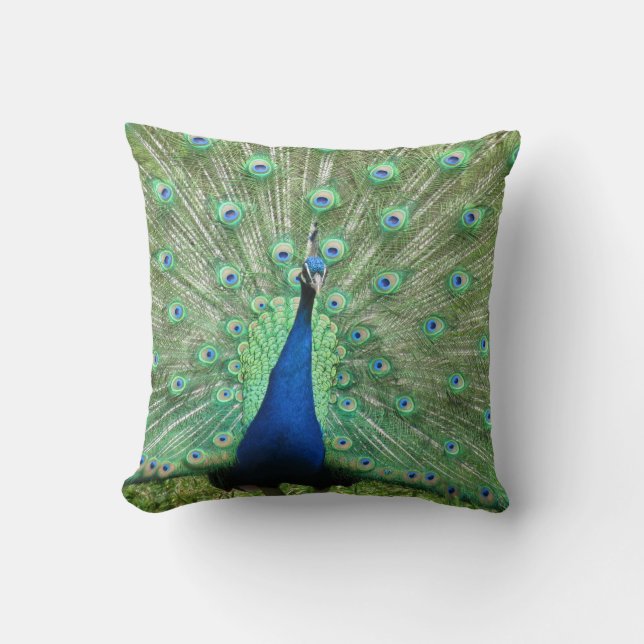 Pillow - Peacock auf Display Kissen (Vorderseite)