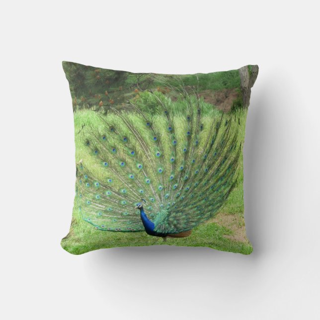 Pillow - Peacock Kissen (Vorderseite)
