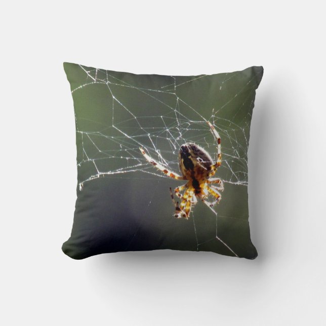 Pillow - Spione im Web Kissen (Vorderseite)