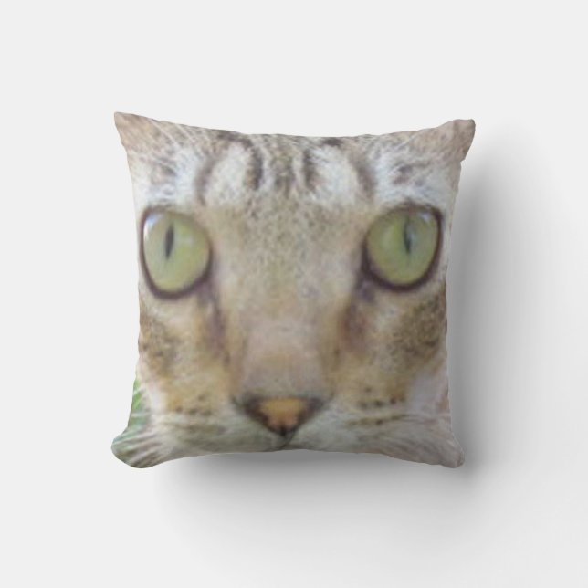 Pillow - Tabby Cat Face Kissen (Vorderseite)