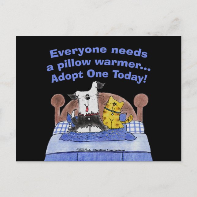 Pillow Warmers Postkarte (Vorderseite)