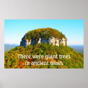 Pilot Berglandschaft und Bäume Poster