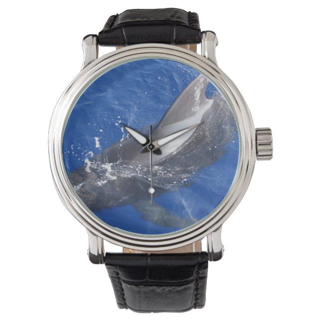 Pilotwal in Hawaii Armbanduhr (Vorderseite)