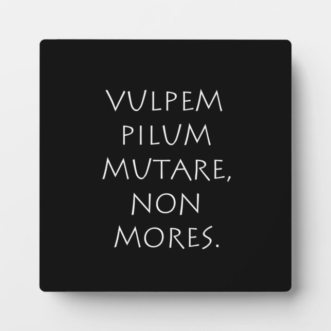 Pilummutare Fotoplatte (Vorderseite)
