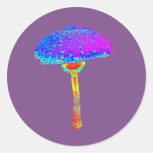 Pilz-Aufkleber Runder Aufkleber