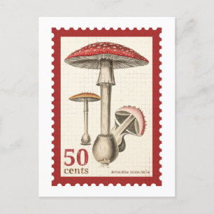 Pilz-Briefmarken-Postkarte Postkarte