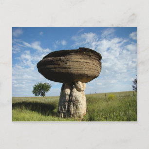 Pilz-Felsen Postkarte