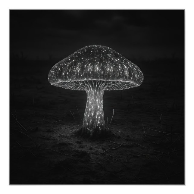 Pilz-Glühen - Fotodruck (Vorne)