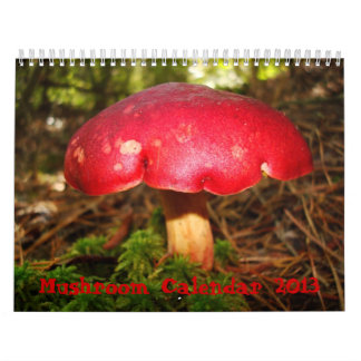 Pilz-Kalender Kalender