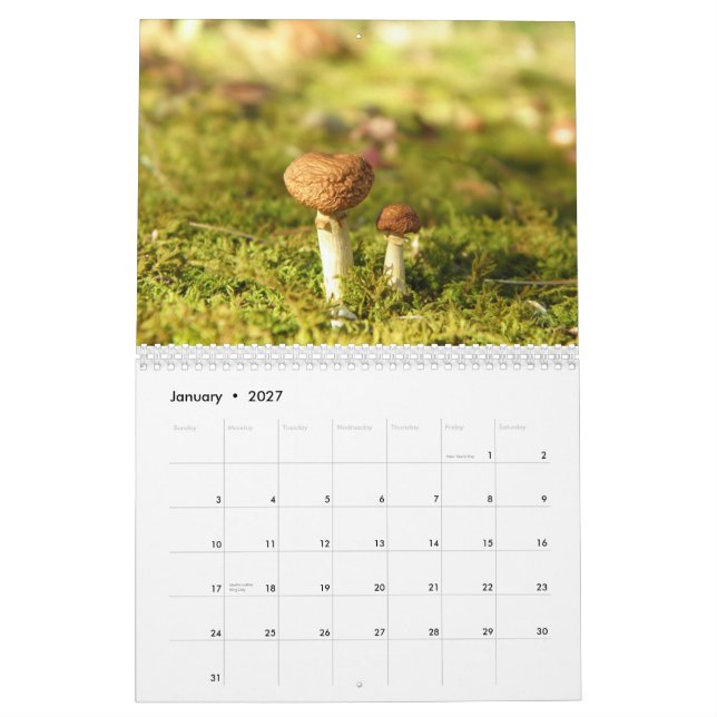 Pilz-Kalender Kalender (Jan 2027)