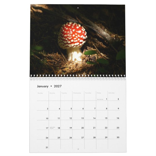 Pilz-Kalender Kalender (Jan 2027)
