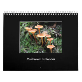 Pilz-Kalender Kalender