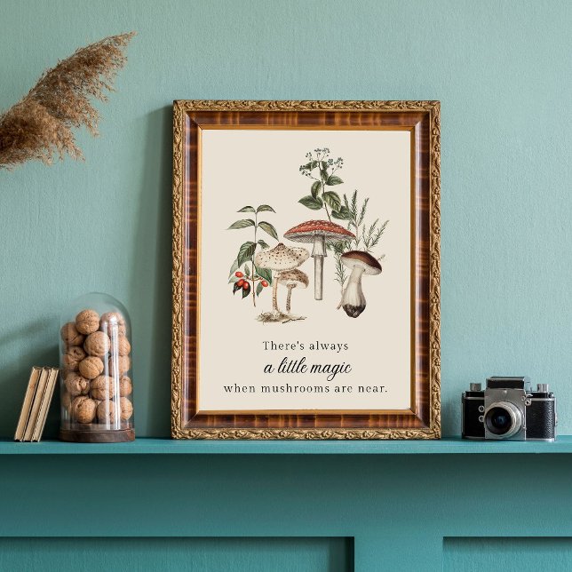 Pilz-Magie Poster (Von Creator hochgeladen)