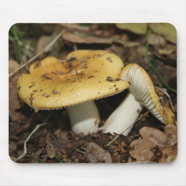 Pilz-Mäusematte Mousepad (Vorne)