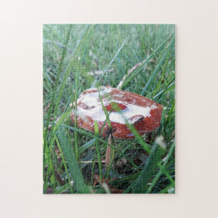 Pilz mit Morgentau-Puzzle Puzzle