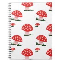 Pilz-Notebook