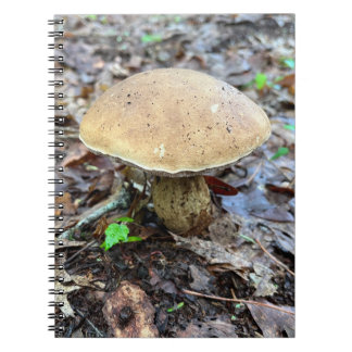 Pilz-Notebook Notizblock