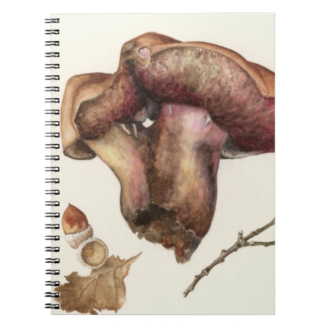 Pilz Notizblock (Vorderseite)