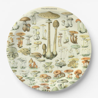 Pilz-Papierteller Pappteller