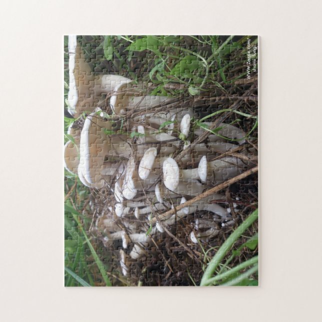 Pilz-Puzzlespiel Puzzle (Vertikal)