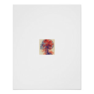 Pilz-Schädel-Röntgen-Anatomie-Kunst Poster