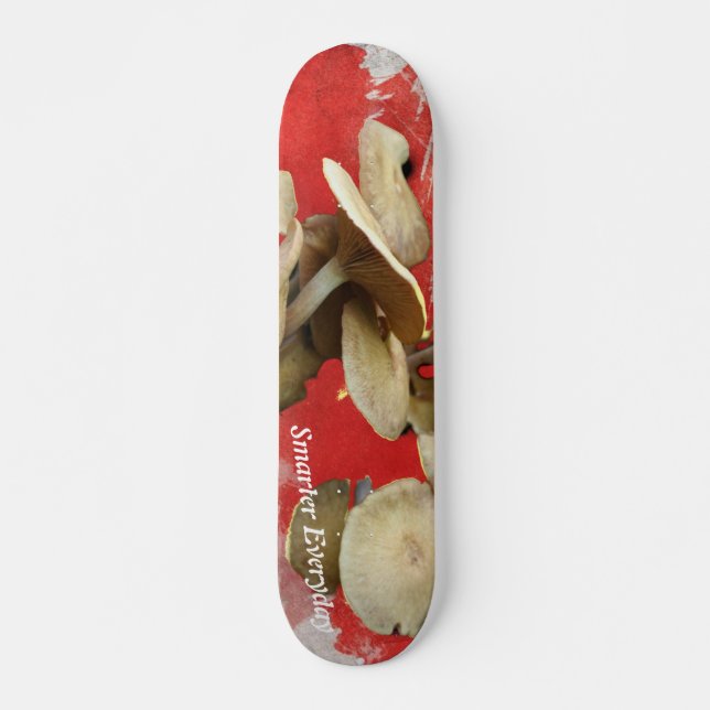 Pilz Skateboard (Vorne)