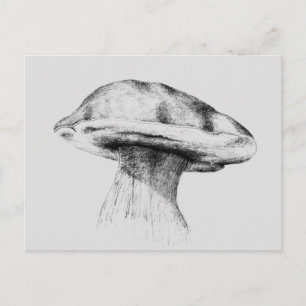 Pilz Steinpilz Zeichnung Postkarte
