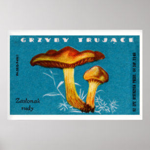 Pilz-Streichholzschachtel-Kunstprint, Polnische Vi Poster