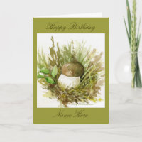 Pilz-Studien-Aquarell nach Beatrix Potter