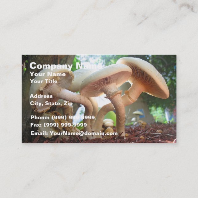 Pilz-Tanzen Visitenkarte (Vorderseite)