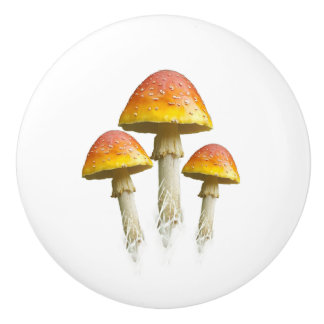 Pilz-Trio-Keramik-Griff (Farbe) Keramikknauf