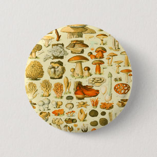 Pilz Vintage Fliegenpilz Antike Illustration Button