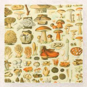 Pilz Vintage Fliegenpilz Antike Kunst Glasuntersetzer