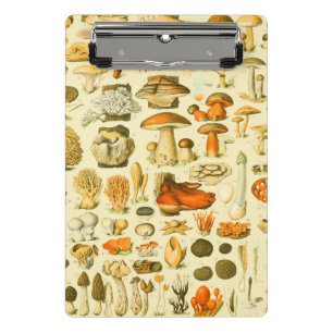 Pilz Vintage Fliegenpilz Antike Kunst Mini Klemmbrett