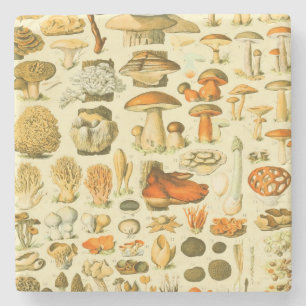 Pilz Vintage Fliegenpilz Antike Kunst Steinuntersetzer