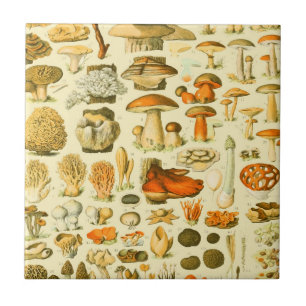 Pilz Vintage Toadstool Antike Kunst Fliese