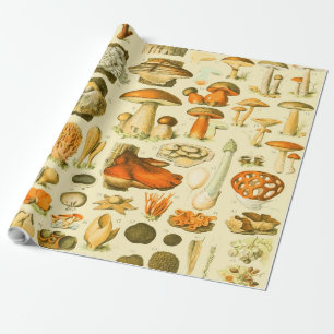 Pilz Vintage Toadstool Antike Kunst Geschenkpapier
