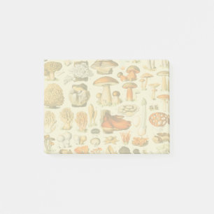 Pilz Vintage Toadstool Antike Kunst Post-it Klebezettel