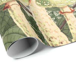 Pilz-Waldantiken-Vintage Leinwand-Spitze Geschenkpapier