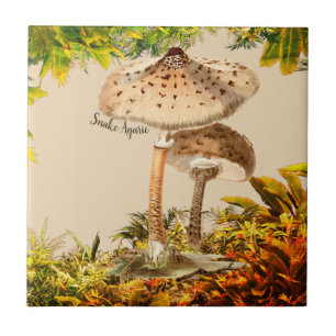 Pilzarten Schlange Agaric Fliese