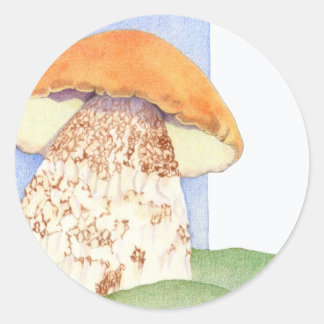 Pilzaufkleber Runder Aufkleber