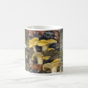 Pilze 2 tasse