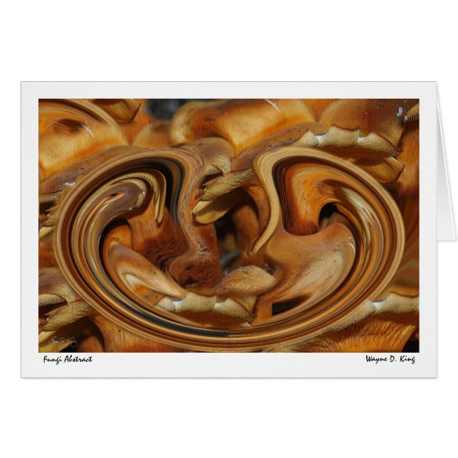 Pilze abstrakt (Vorderseite (Horizontal))