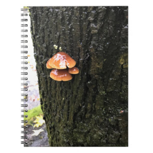 Pilze auf einem Baum, Oregon Notizblock