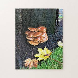 Pilze auf einem Baum, Oregon Puzzle