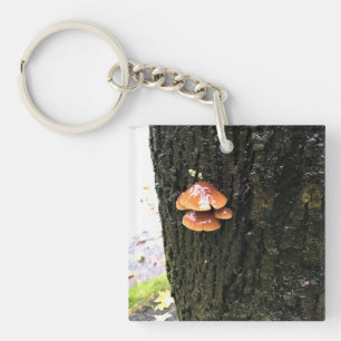 Pilze auf einem Baum, Oregon Schlüsselanhänger