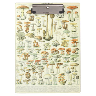 Pilze Clipboard Klemmbrett