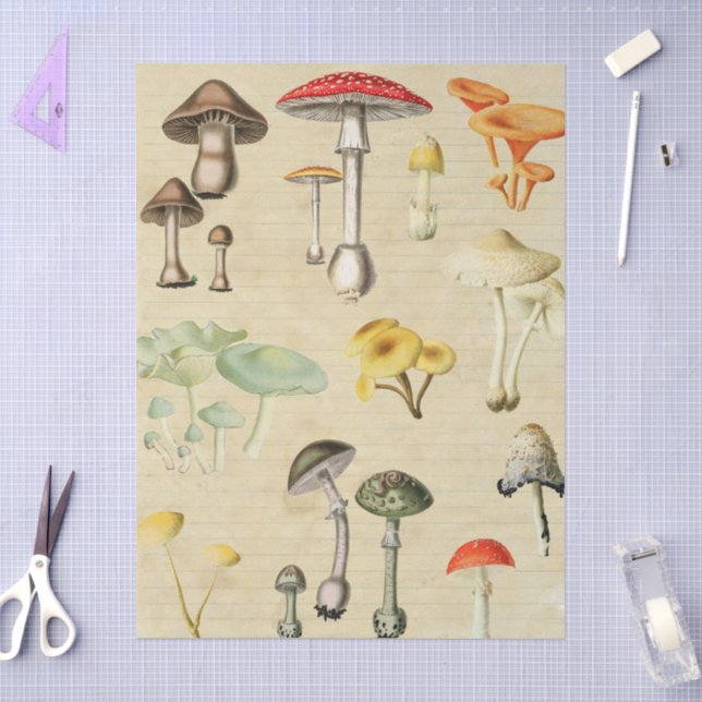 Pilze Collage  Seidenpapier (Basteln)
